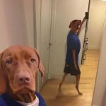 Profile picture of YngGruzi